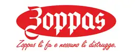 Assistenza Zoppas Torino